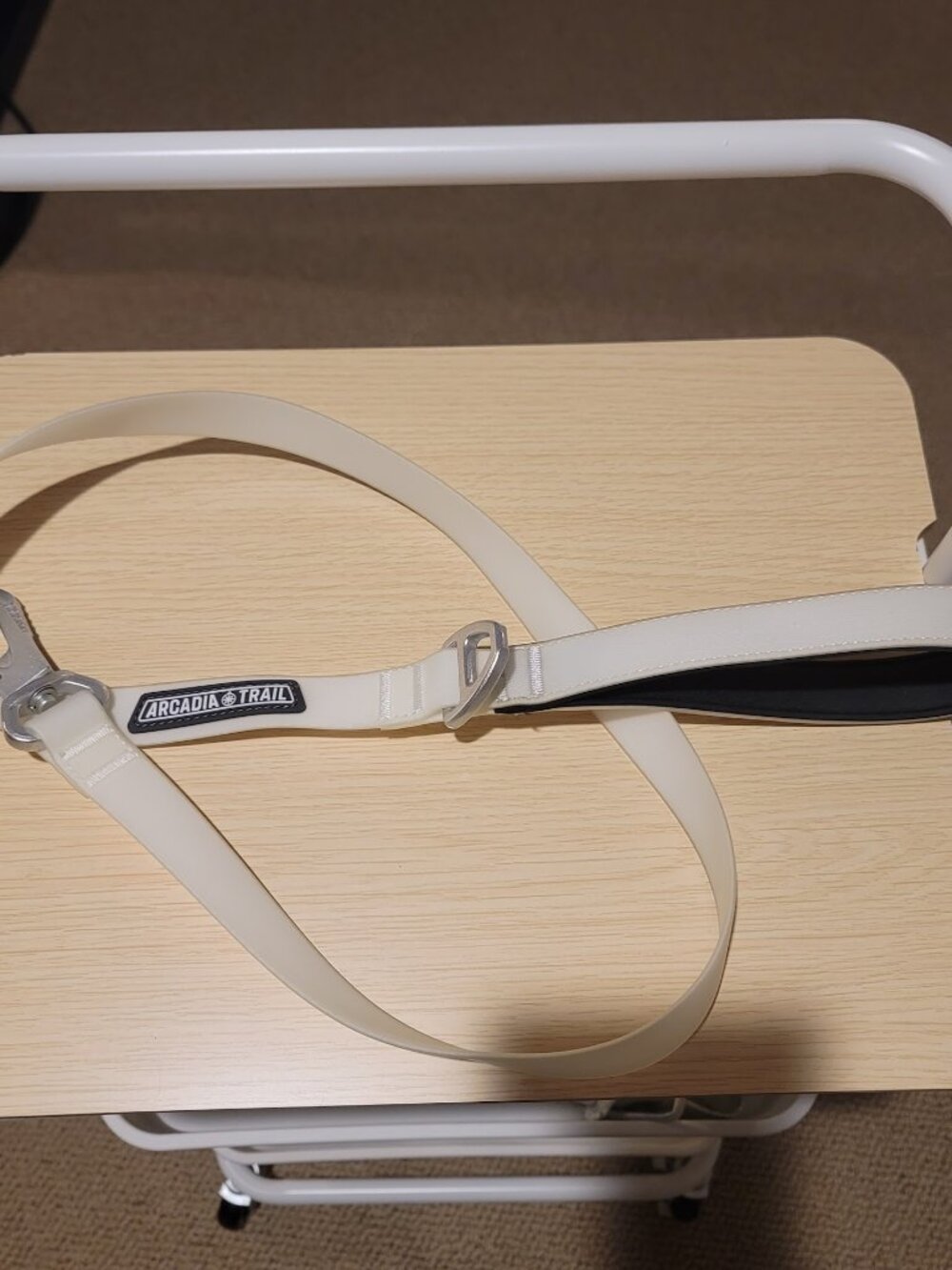 Arcadia Trail Glow-in-the-Dark Waterproof Dog Leash - White - 4ft